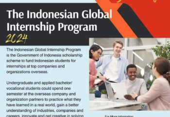 IGIP Scholarship